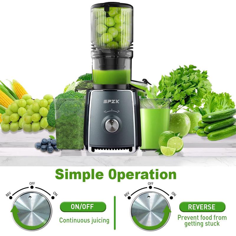Extracteur de Jus à Presse Froide 300W