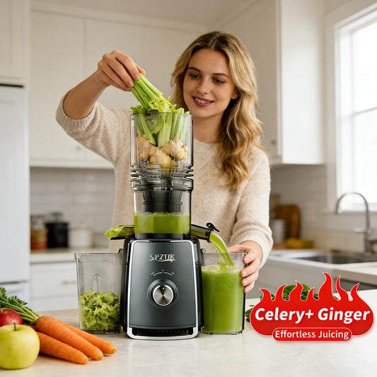 Extracteur de Jus à Presse Froide 300W